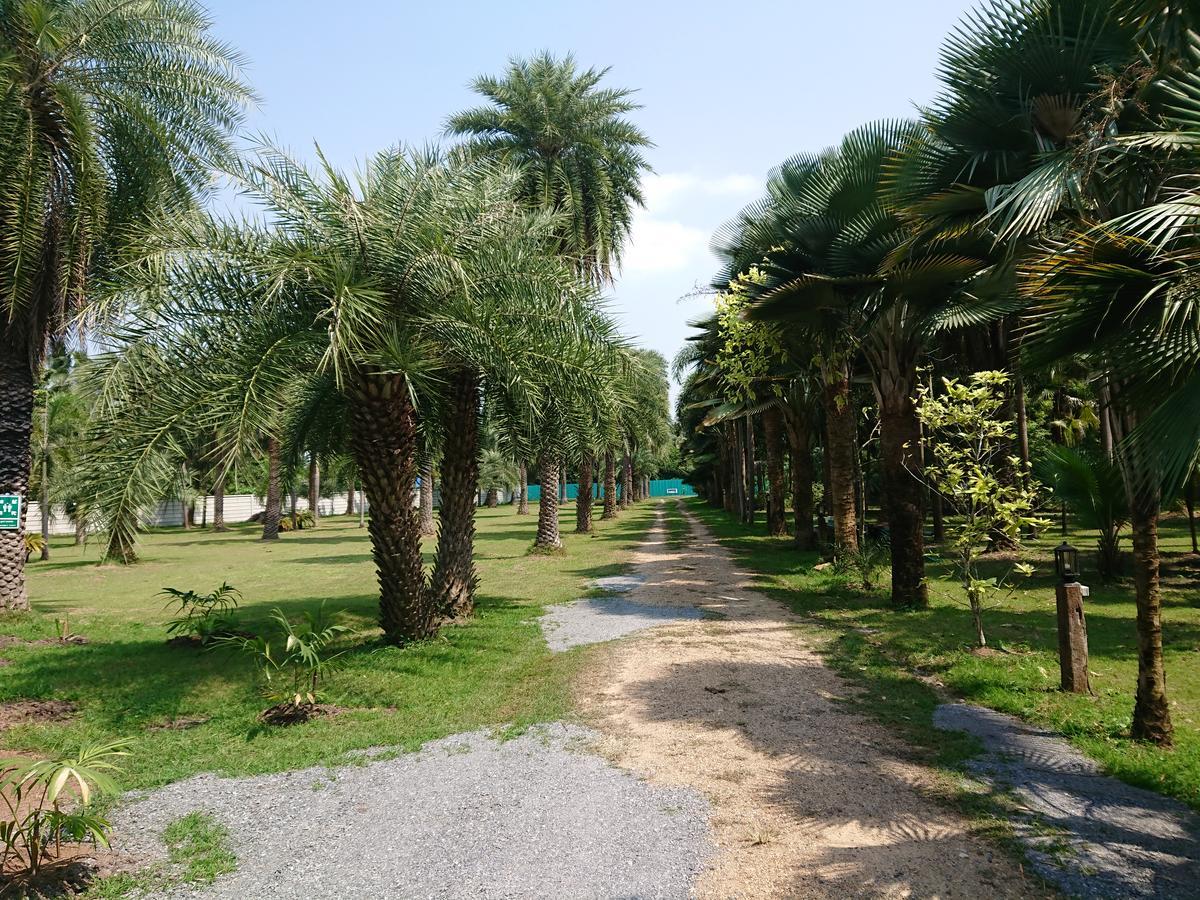 Lopburi Palm Resort Extérieur photo