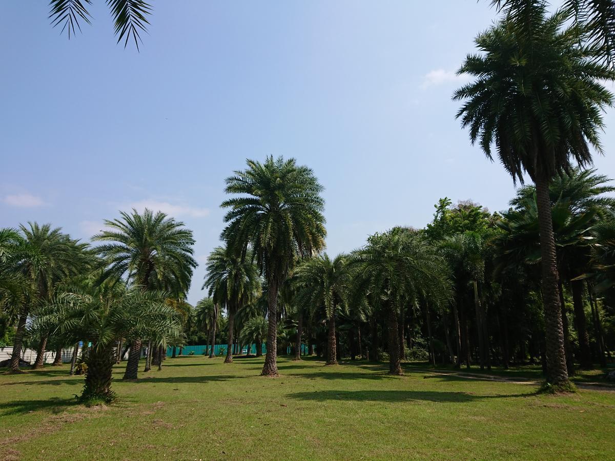 Lopburi Palm Resort Extérieur photo