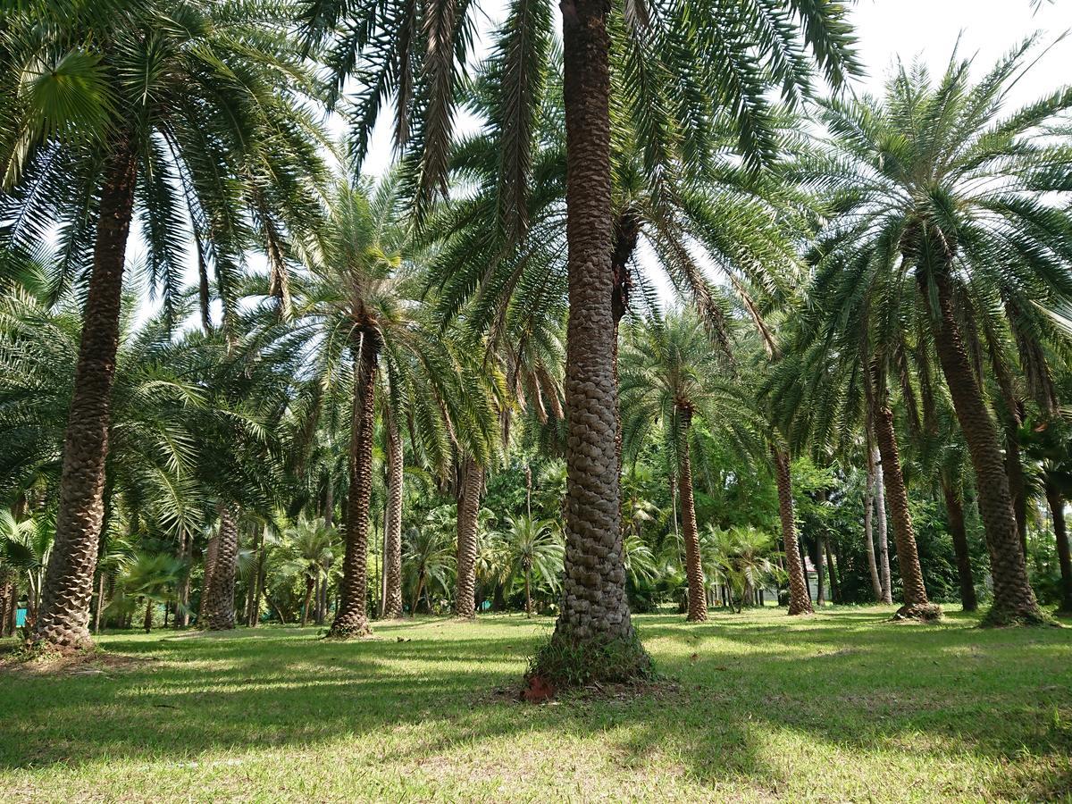 Lopburi Palm Resort Extérieur photo